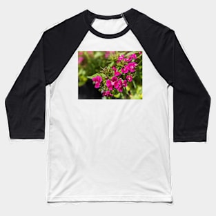 Pink Spiky Flowers 2 Baseball T-Shirt